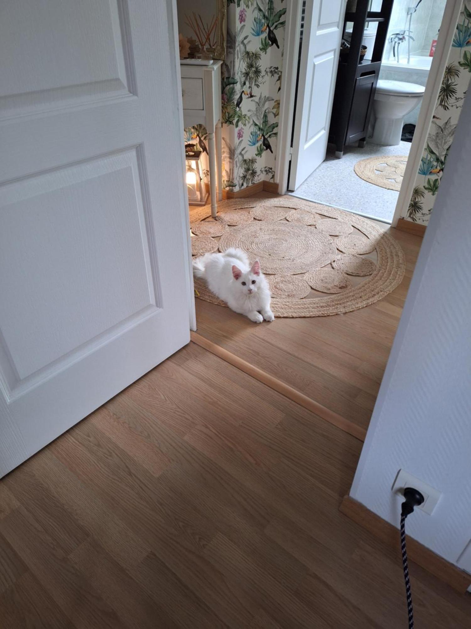 Chambre Climatisee Au Coeur De Brive Avec Televiseur Connecte Wifi Netflix Kültér fotó